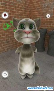 talking tom cat 猫咪