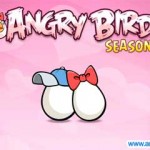 Angry Birds Seasons 情人节特别版