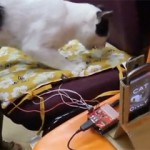 人猫互动 Arduino Android 装置