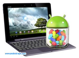 Asus Transformer Prime Jelly Bean