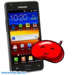 Samsung Galaxy S II Jelly Bean