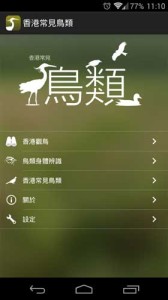 HKcBirds 香港常見鳥類