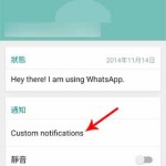 Whatsapp Custom Notification