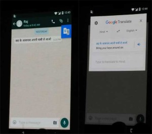 Google In-App Translate