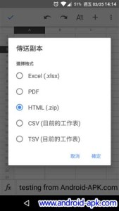 Google Sheets 檔案格式