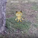 Pokemon GO 寵物小精靈 Meowth