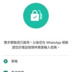 Whatsapp beta 双重认证