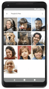 Google Photos Pets