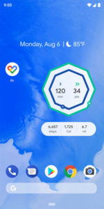 Google Fit Widget