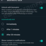 WhatsApp Biometric Lock