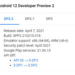 Android 12 Deverloper Preview 2.2