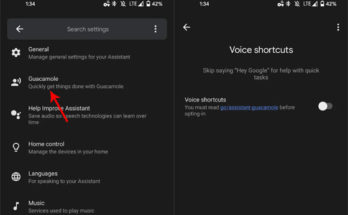 Google Assistant Guacamole