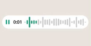 WhatsApp 语音讯息可预览