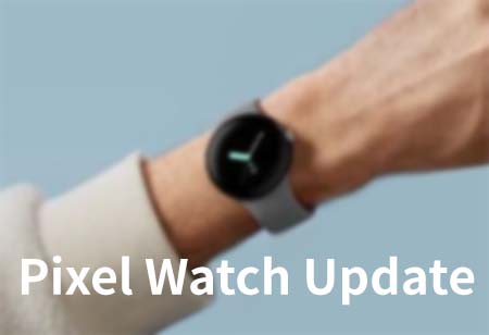 Pixel Watch Update