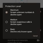Google Pixel Call Screen Protection Level