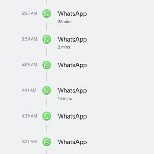 WhatsApp Microphone Access