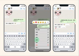 WhatsApp 編輯訊息