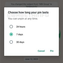 WhatsApp Pin Message 时限