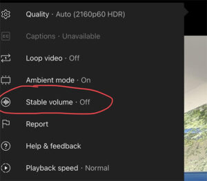 Youtube Stable volume feature