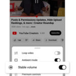 YouTube Stable Volume