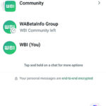 WhatsApp Beta AI Chat