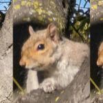 Zoom Enhance 相片 Samples