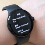 Pixel Watch 2 Wear OS 5