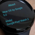 Pixel Watch 2 Wear OS 5