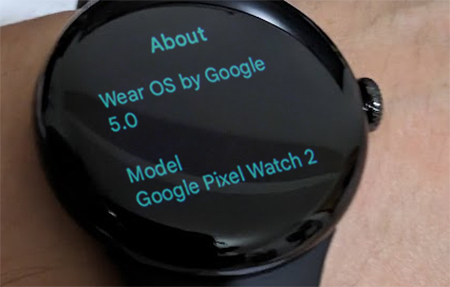 Pixel Watch 2 Wear OS 5