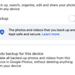 Undo Device Backup