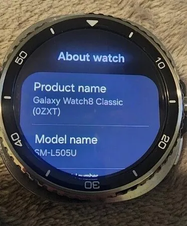 Galaxy Watch8 Classic 表圈