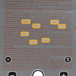 Pixel 放大鏡 Live Text Search