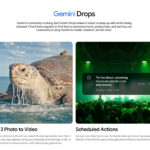 Gemini Drops