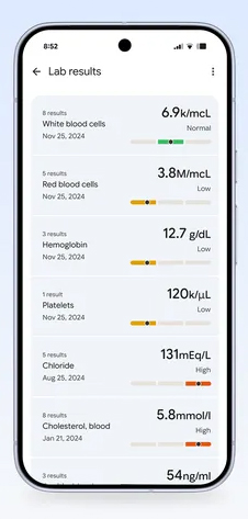 Fitbit Health Records
