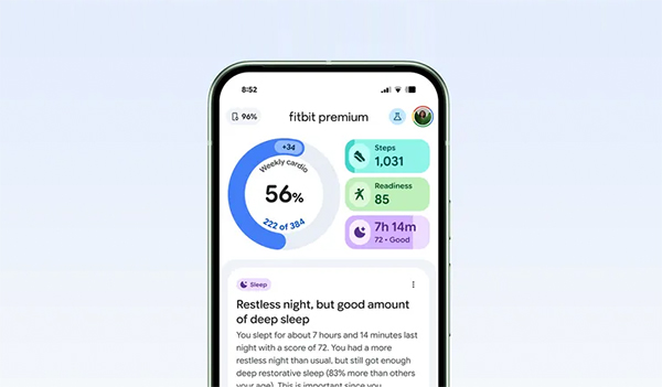 Fitbit Personal Health Coach