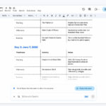 Google Gemini