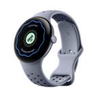 Pixel Watch 三月更新