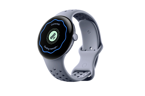 Pixel Watch 三月更新