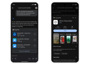 Gemini Google Play Store